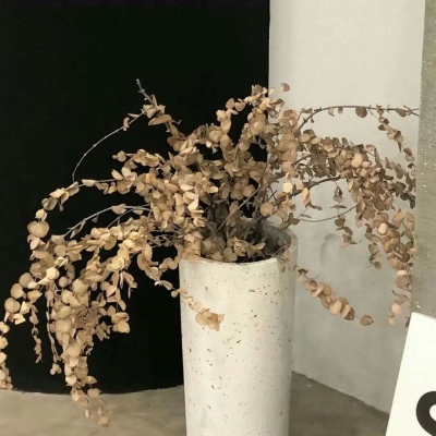 Furry数字绘画入门指南兽圈社群